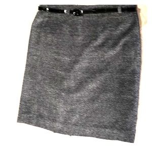 🌺 Ann Taylor 8 P Fully Lined Skirt